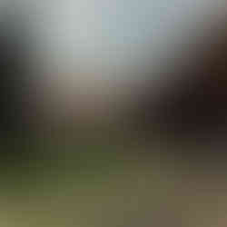 Vista general, con los pilares que forman el claustro de los Jacobinos de Toulouse.