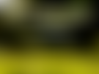 Share Your Wildest Outdoor Adventures at Our Next Story Swap!