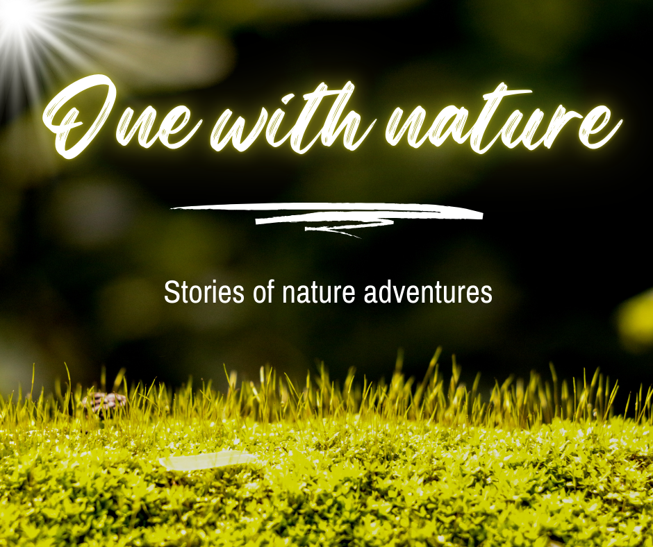 Share Your Wildest Outdoor Adventures at Our Next Story Swap!