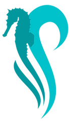 Workshop (1).png