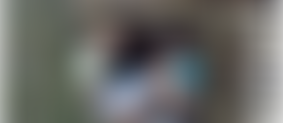 Nieuws over zomer 2013