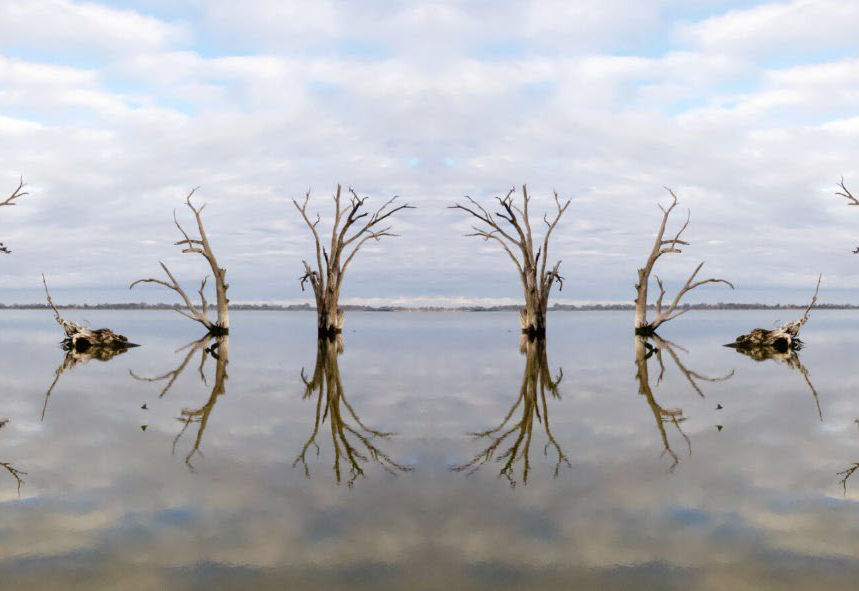 Nici Cumpston 'Oh my Murray Darling' 2019.jpg