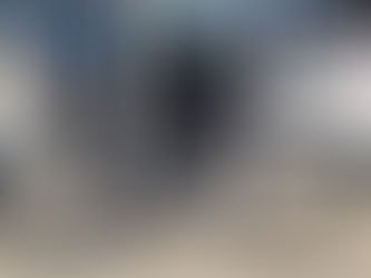 Occasion : TREK DOMANE+ SLR 6 PRO de 2024