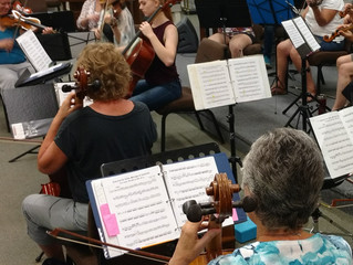 Chamber Strings 2019