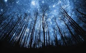 Peace & Joy to all Mountainside Chamber Music participants of Past, Present & Future...