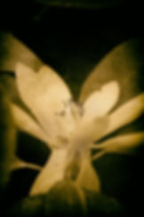EcoTherapy #15