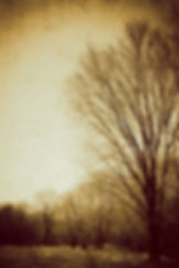EcoTherapy #04