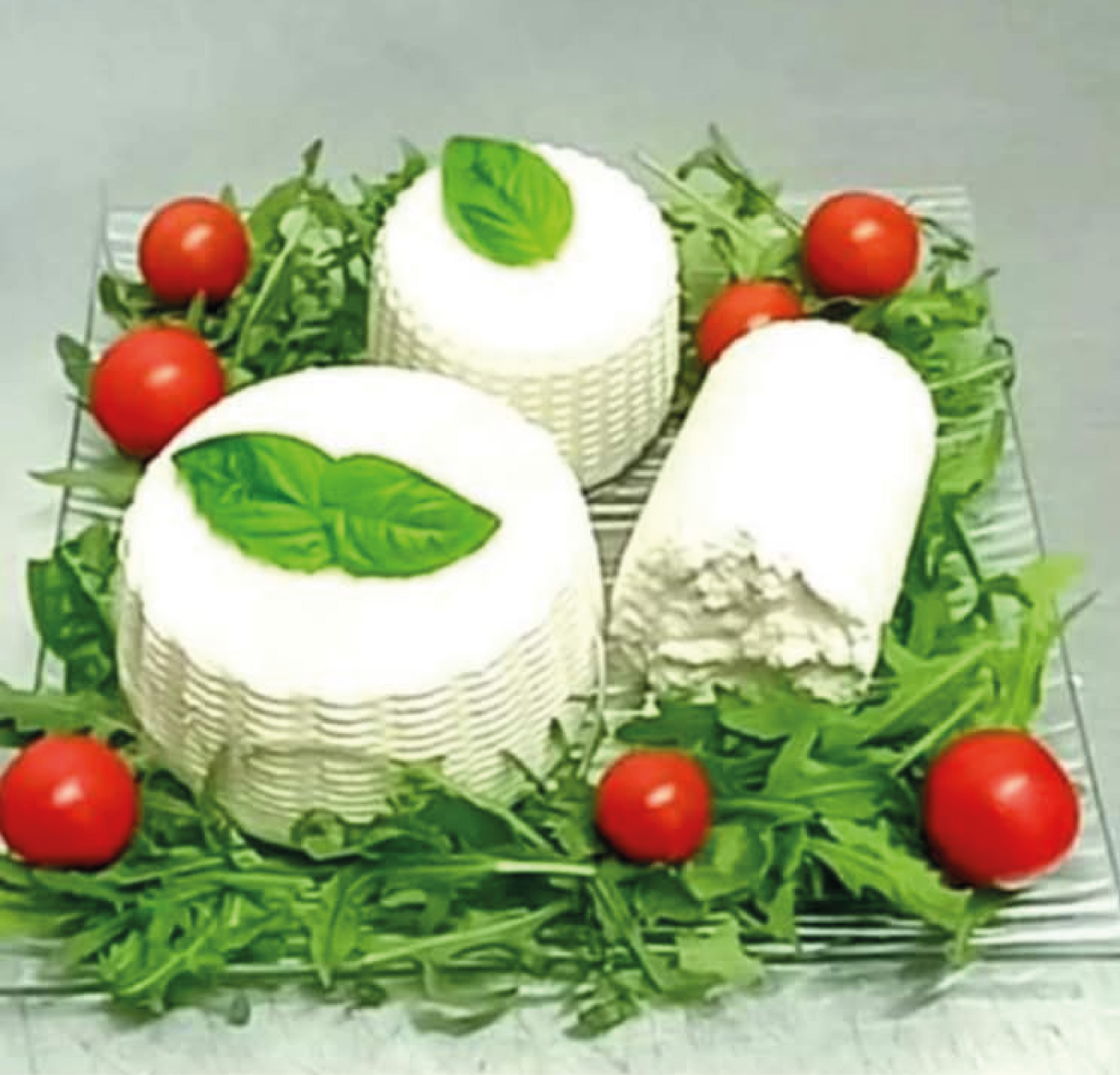 Ricotta fresca