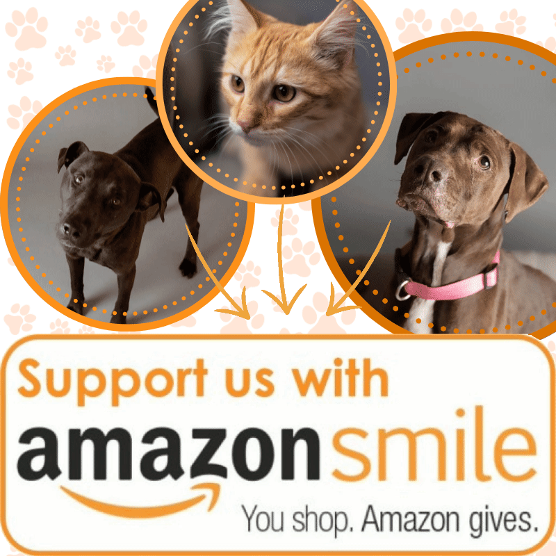 AmazonSmile 2.gif