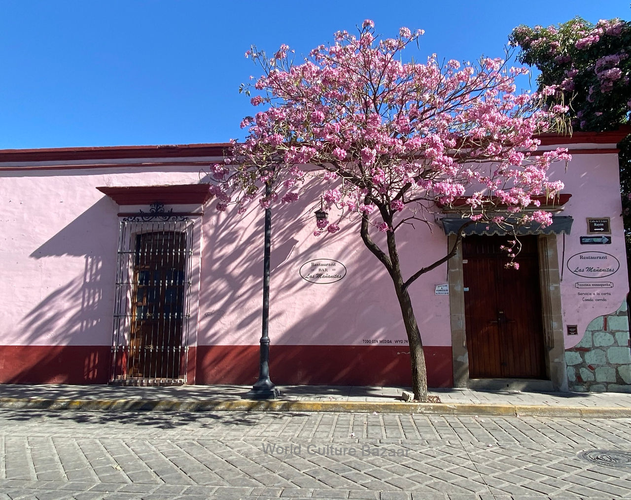 Pink tree outside pink house