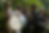 djam mariage 2.webp