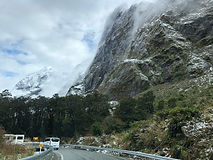 IMG_2450.jpeg
