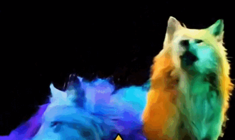 ezgif-14f208773869b8-ezgif.com-cut (1).gif