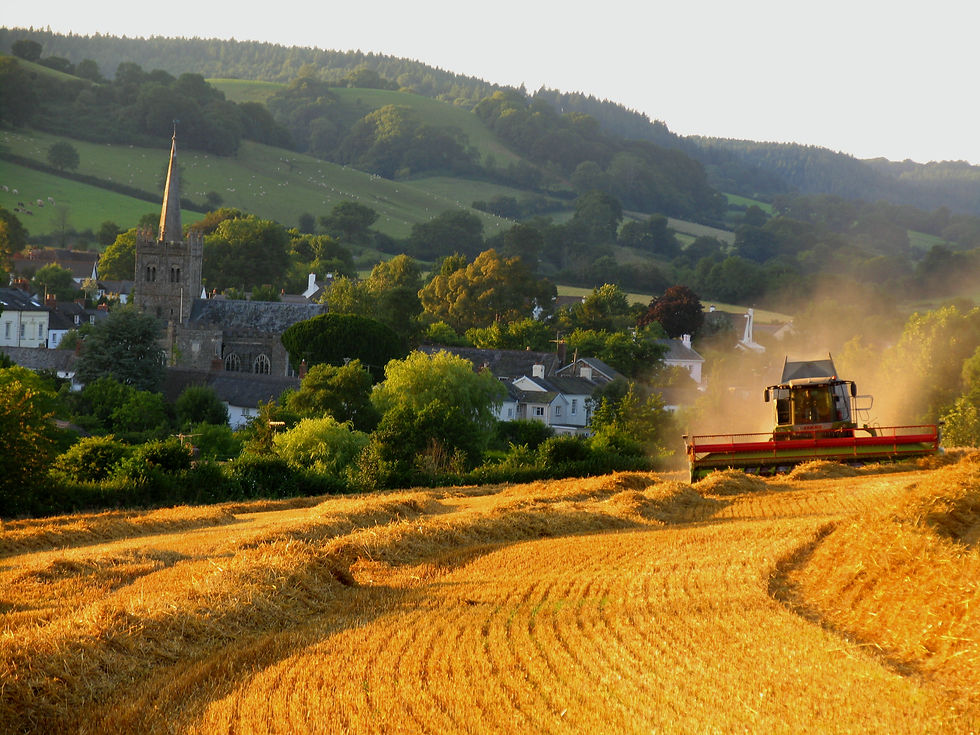 Agrarwirtschaft