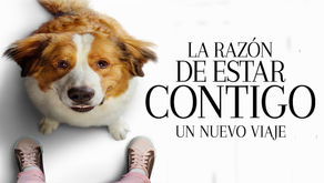 "La razón de estar contigo: un nuevo viaje" de Gail Mancuso