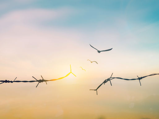 Hulp bij narcistisch misbruik: wat er met je gebeurde en hoe je weer grip krijgt