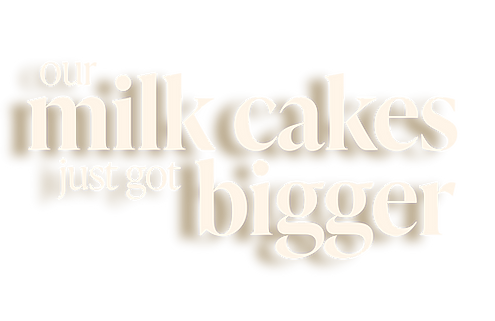 Milk Cake website banner -02.png