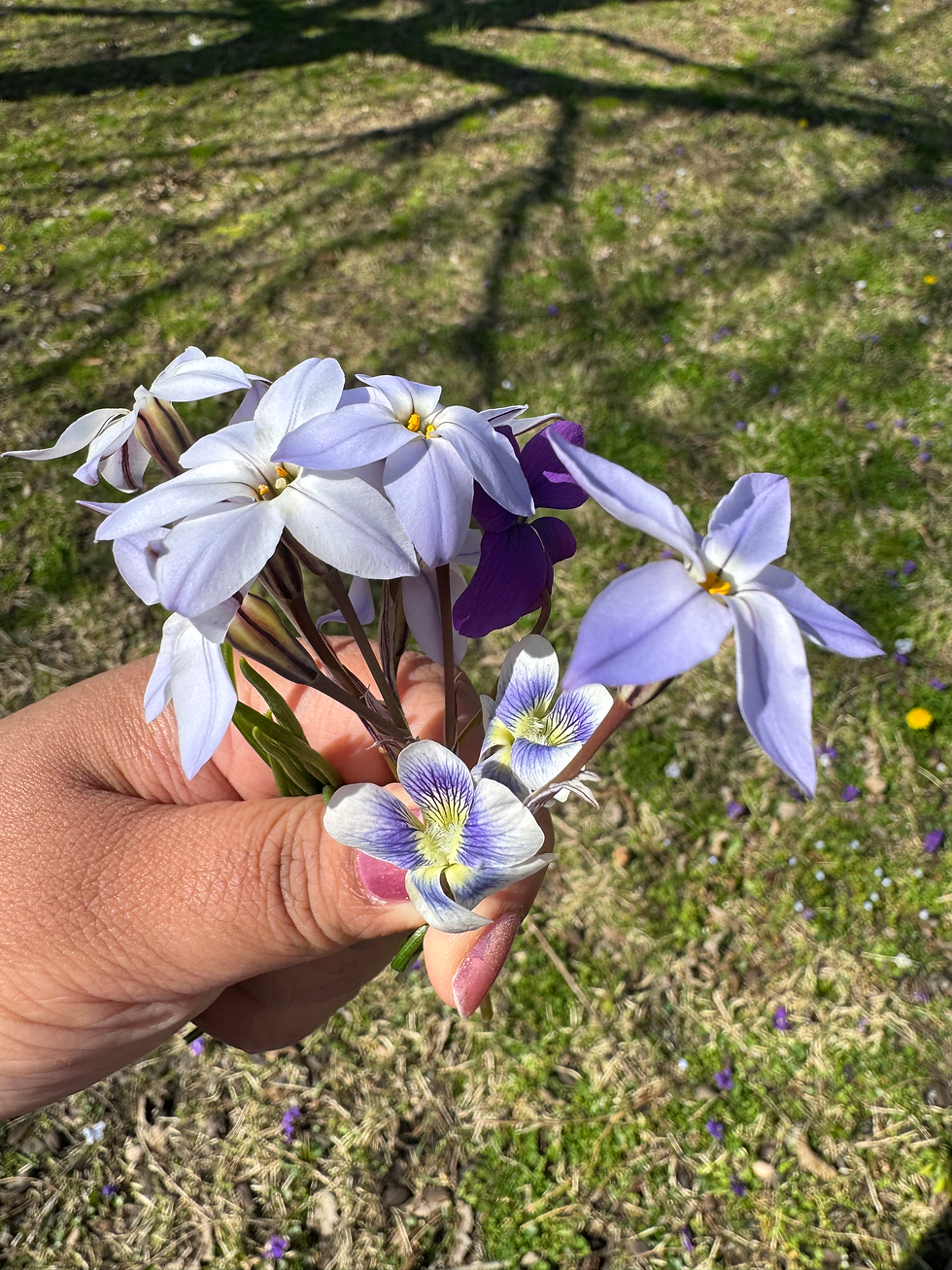 Tried it, Adored it: Gardening