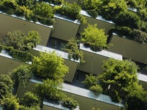 Virtual Event: Impact Investing - Capital meets Conscience