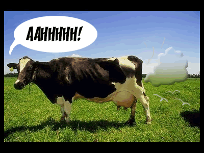 cow