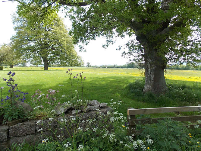 june 2013 026.JPG