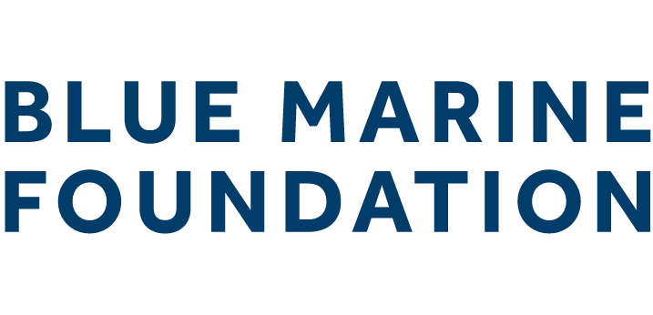 logo_text.webp