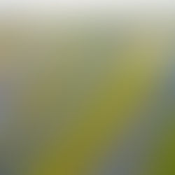 👀 Anticiperen op verkeersgedrag