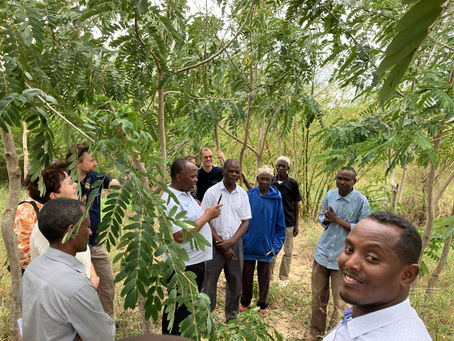 Africa Blue Deal partners IWRM