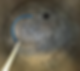Schermafbeelding 2025-01-20 153632.png