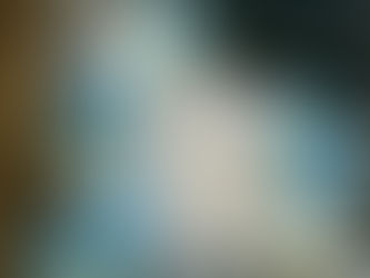 Elevate Your Party Decor with Pretty & Co's Balloon Backdrops