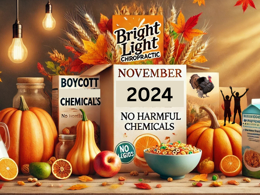 November 2024 Newsletter