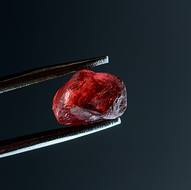 ChatGPT Image Oct 29, 2025, 07_32_08 PM.png