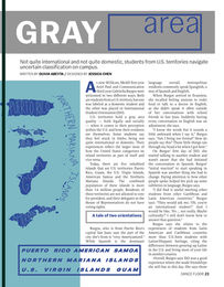 Gray Area title page