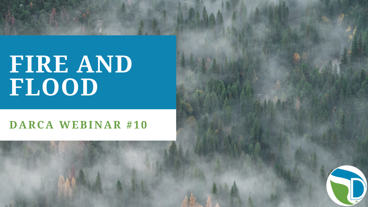 Webinar #10