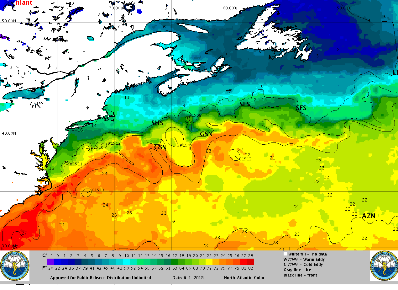Gulf Stream Analysis