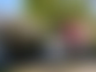 東久留米の里に春のおとずれを探る