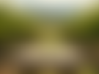 Top Winery Dining Mornington: Best Winery Lunch Experiences on Mornington Peninsula