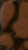 PhotoScan%20(6)_edited.jpg