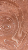 PhotoScan%20(9)_edited.jpg