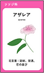 スクリーンショット 2021-05-15 18.13.05.png