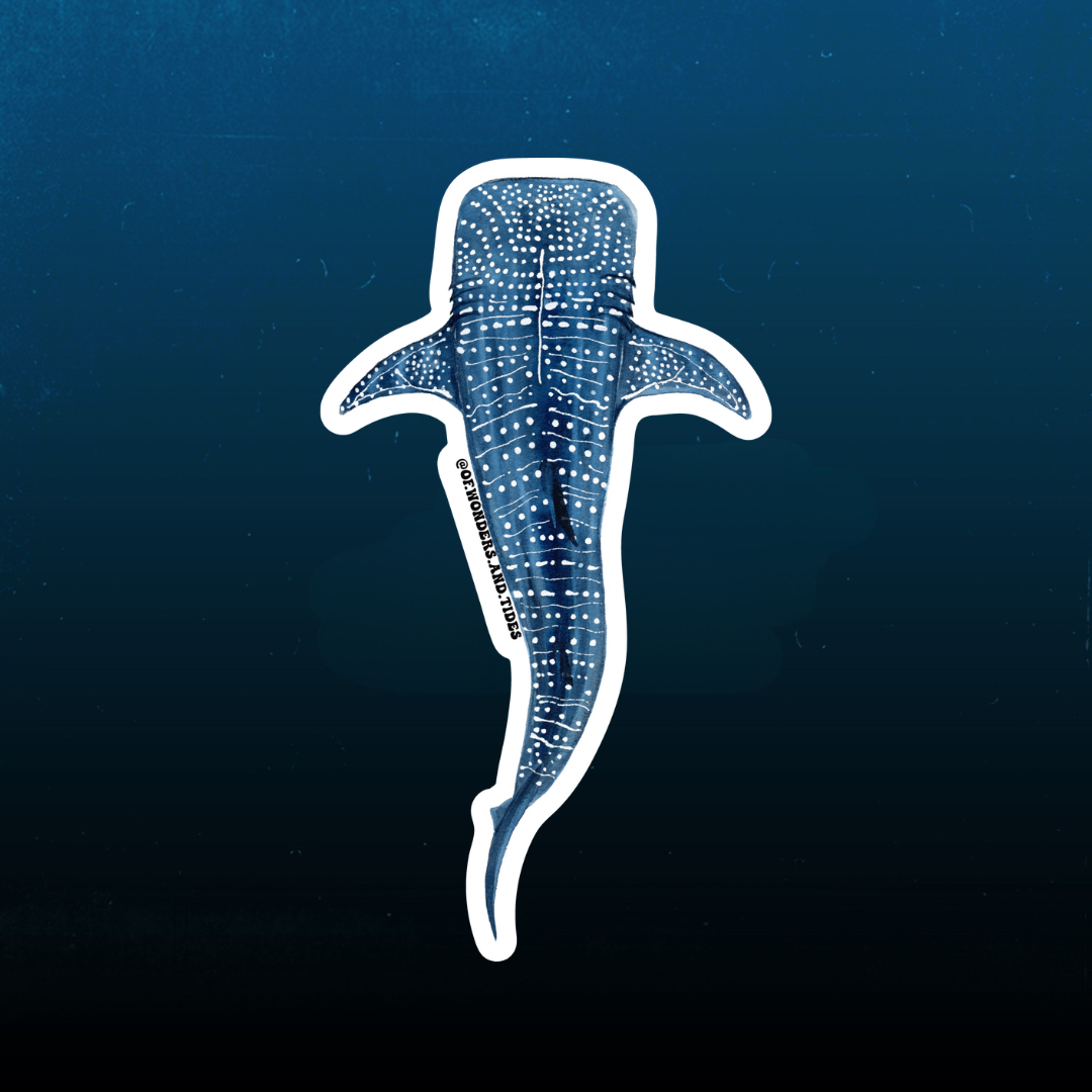 Whale Shark Sticker