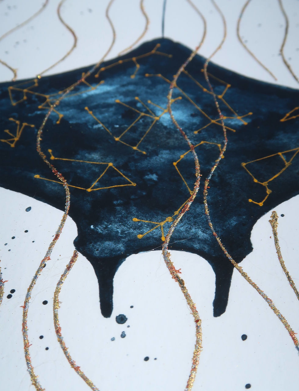 Thumbnail: Zodiac Manta