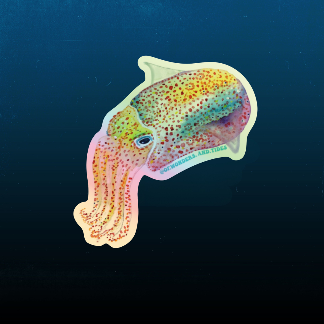 Bobtail Squid Holographic Sticker