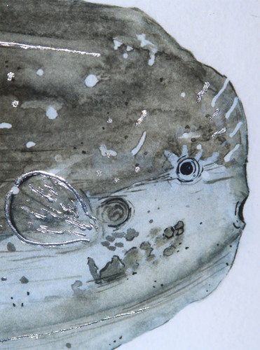 Mola Mola | Of Wonders And Tides