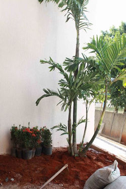 andamento-1a-abr-2011-047