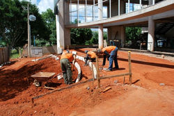 andamento-1a-fev-2011-068