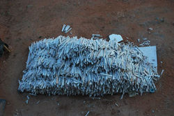 andamento-1a-jan-2010-021