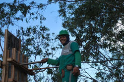 andamento-3a-jun-2009-021