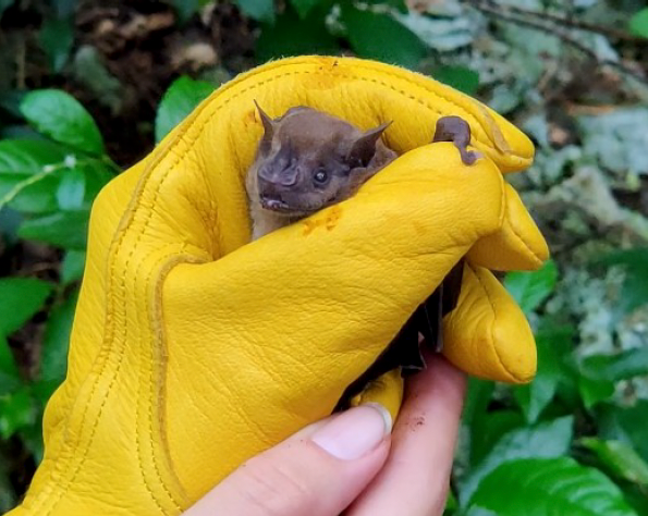 Screenshot 2025-02-25 at 12.23.28 PM.png