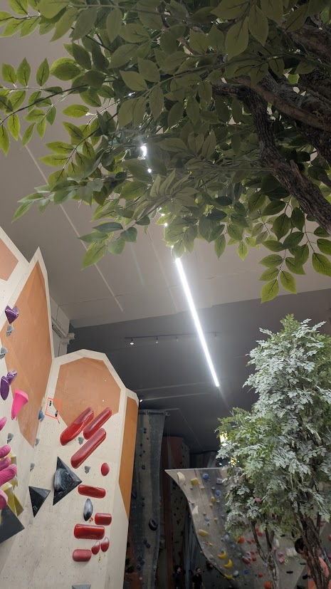 faux arbres et faux rochers, mais présence d'une nature 